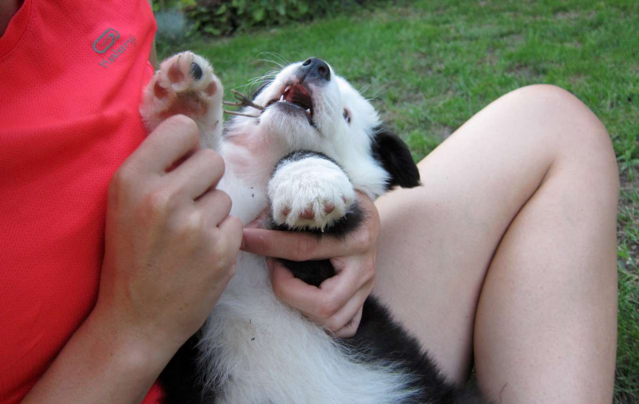 Lokiho prvé dni - zoznamovanie sa s prostredím