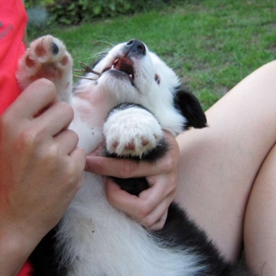 Lokiho prvé dni - zoznamovanie sa s prostredím