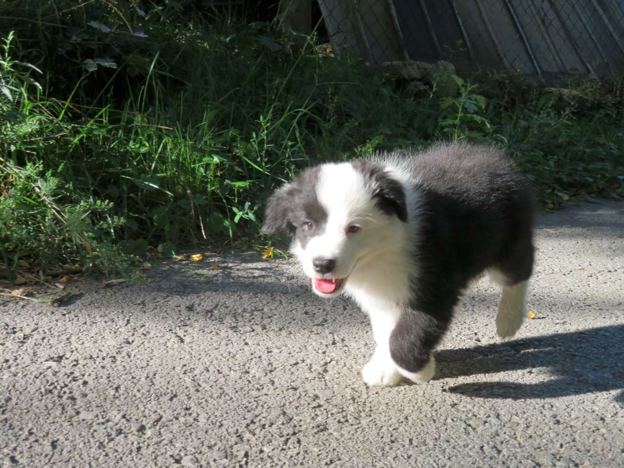 Po prvom týždni v novom domove