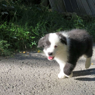 Po prvom týždni v novom domove